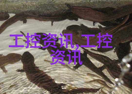 一场绿色革命探索上海市区大型分离机系统设计优化策略