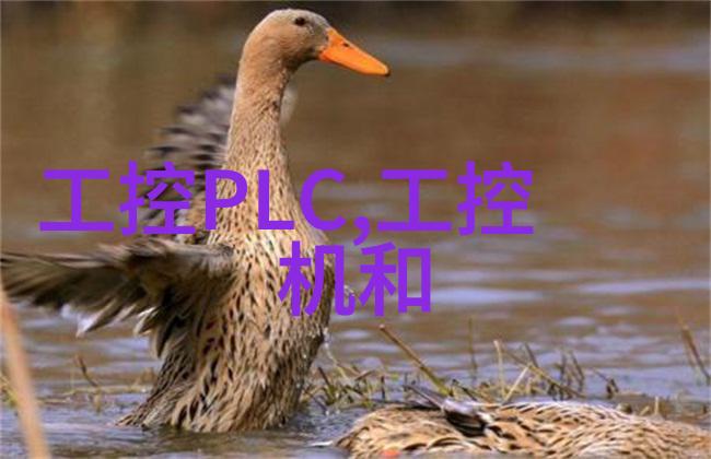 卫生间装修小窍门从破到招摇不惭只需一把刷子和无限想象力