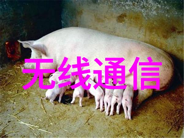 虚空之翼下的干燥纪元