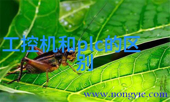 橡胶软管的韧性与美学