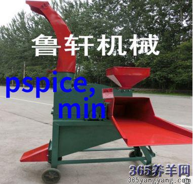张柏芝的魅力秘密那一头又长又黑的秀发