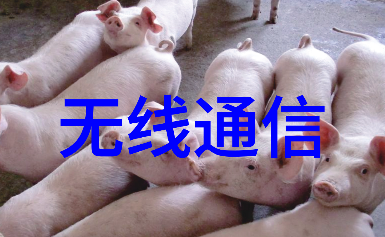 钢管材生产厂家从地道到天花板的无尽挑战
