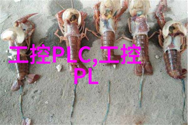 管道尺寸大师揭秘那些让水龙头爱不释手的标准规格