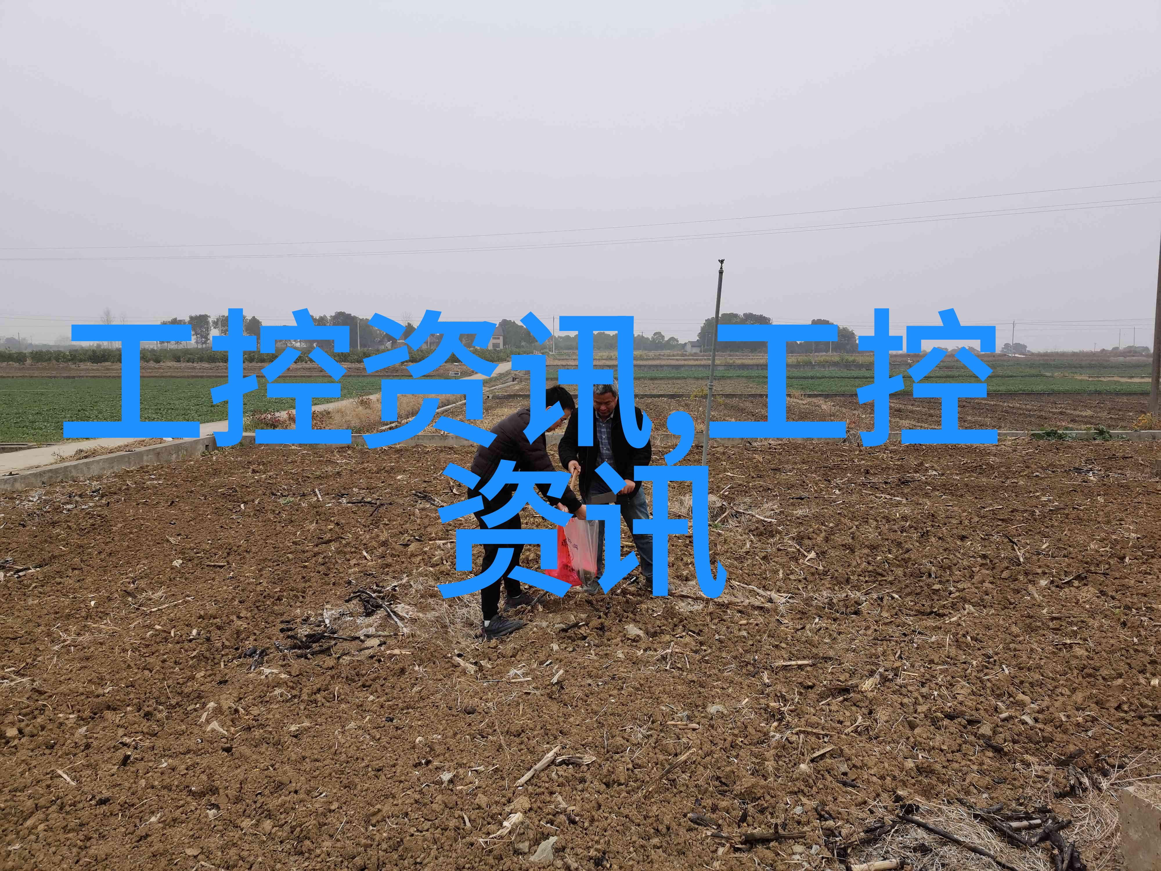 褐煤干燥设备的选择与应用实践
