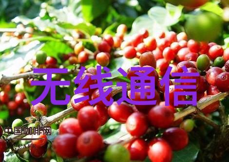 仿石砖技术发展与建筑文化的交融研究