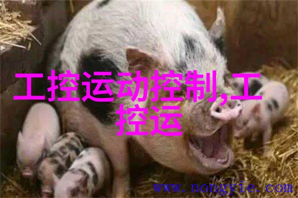 尚层别墅装修设计案例现代简约风格的完美融合