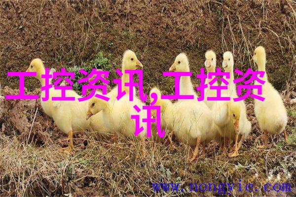 反应釜拆卸从高潮到低谷的逆袭之旅