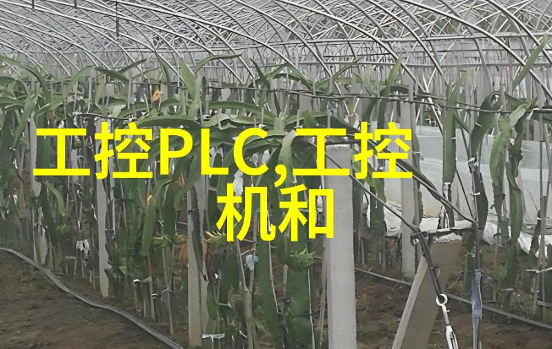 排水管里的幽默小子