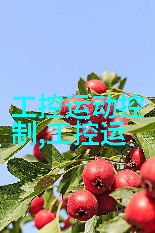反应器设计及选型原理与实践研究