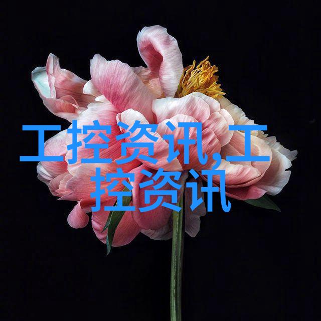 砖文化大爆笑从古代墙角到现代生活的趣事