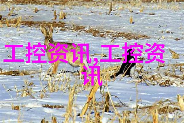 人事测评活动中隐藏的智慧与机遇