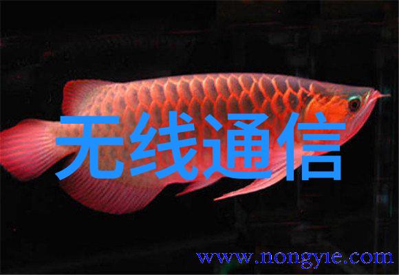 实验室废气的处理方法我来告诉你怎么做