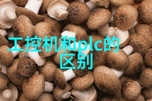 狗的东西比男朋友还大的神奇世界犬类宠物与人类伴侣的趣味对比
