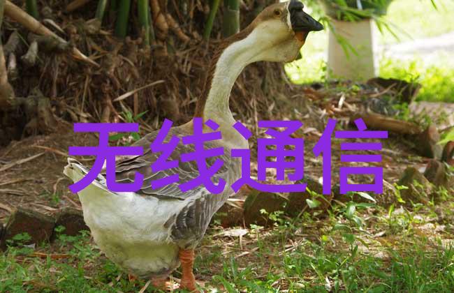 实验室超滤膜分离设备精准筛选新纪元