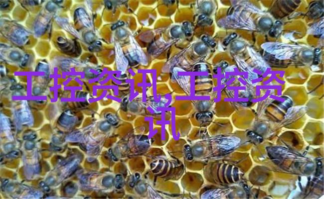我们应该如何进行日常维护来延长输送带的服务寿命