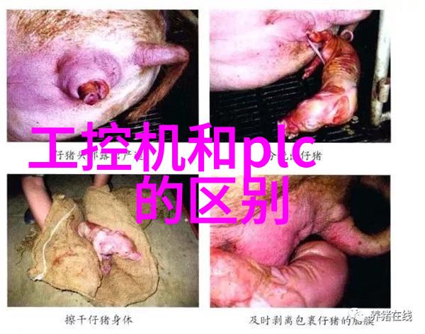 设计本在教育中的作用它如何促进学生的创新思维