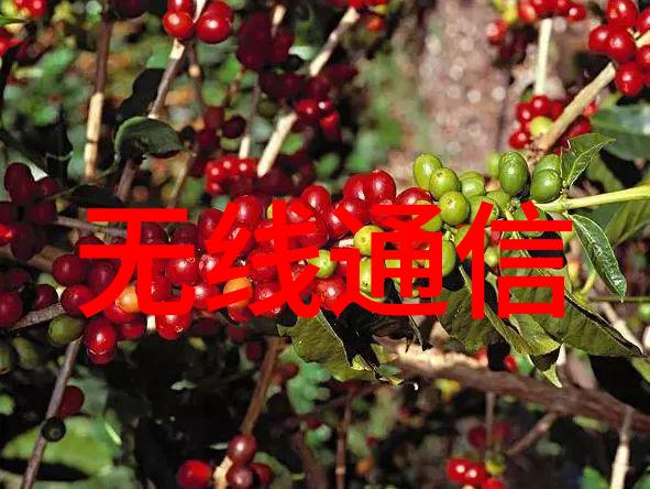 视频中的喷漆房水帘柜艺术创作的奇观与挑战