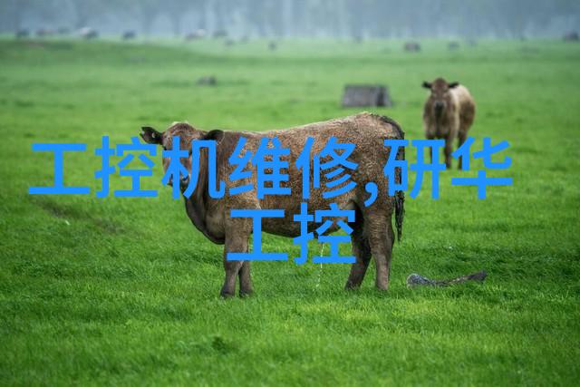 新希望3月1日起回国旅客迎来核酸检测自由之日