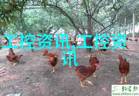 化工蒸汽发生器关键设备与安全运行的艺术