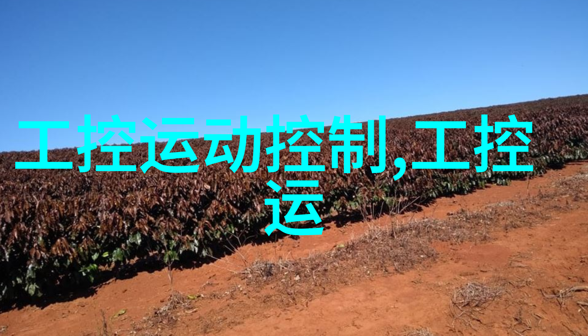 中国铝业股票行业领先者在市场上的表现与策略