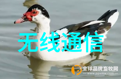 小型家庭装修项目中应如何选择合适的五金配件供应商或单元