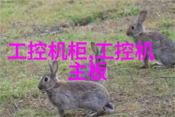 化工反应釜工作原理解析混合加热与控制技术的巧妙结合