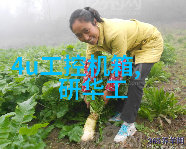 提升效率降低成本如何选择合适的制药机械设备
