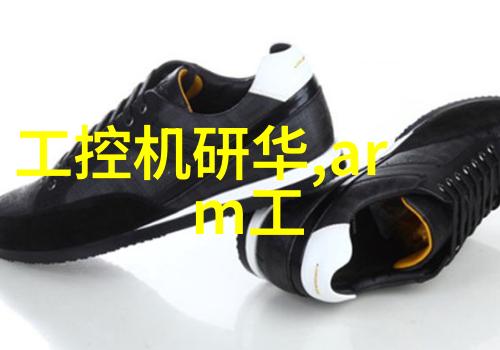 嵌入式与非嵌入式技术齐飞凌华科技2006年营收激增32达6100万美元