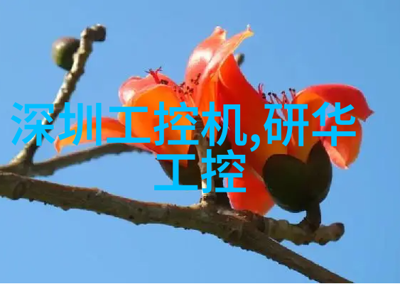 螺旋输送机设备提升生产效率的革命性技术