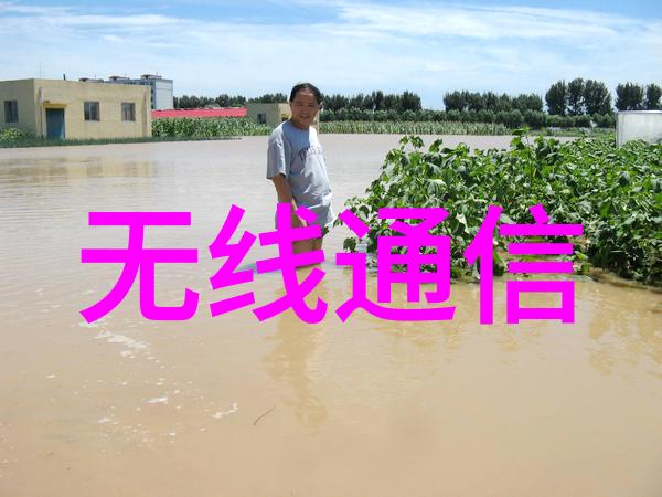 大客厅设计效果图大全创意家居空间的灵感源泉