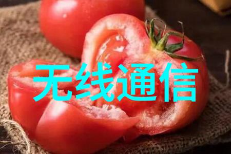 橡胶管软管规格-详解各种尺寸和应用场景