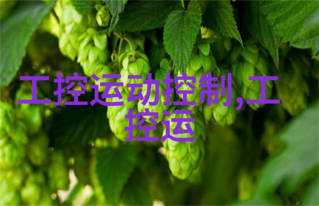 医疗保健-炮灸艺术探索中医火针疗法的奥秘