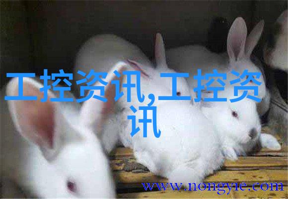 洗碗机使用技巧视频家庭清洁利器操作教程