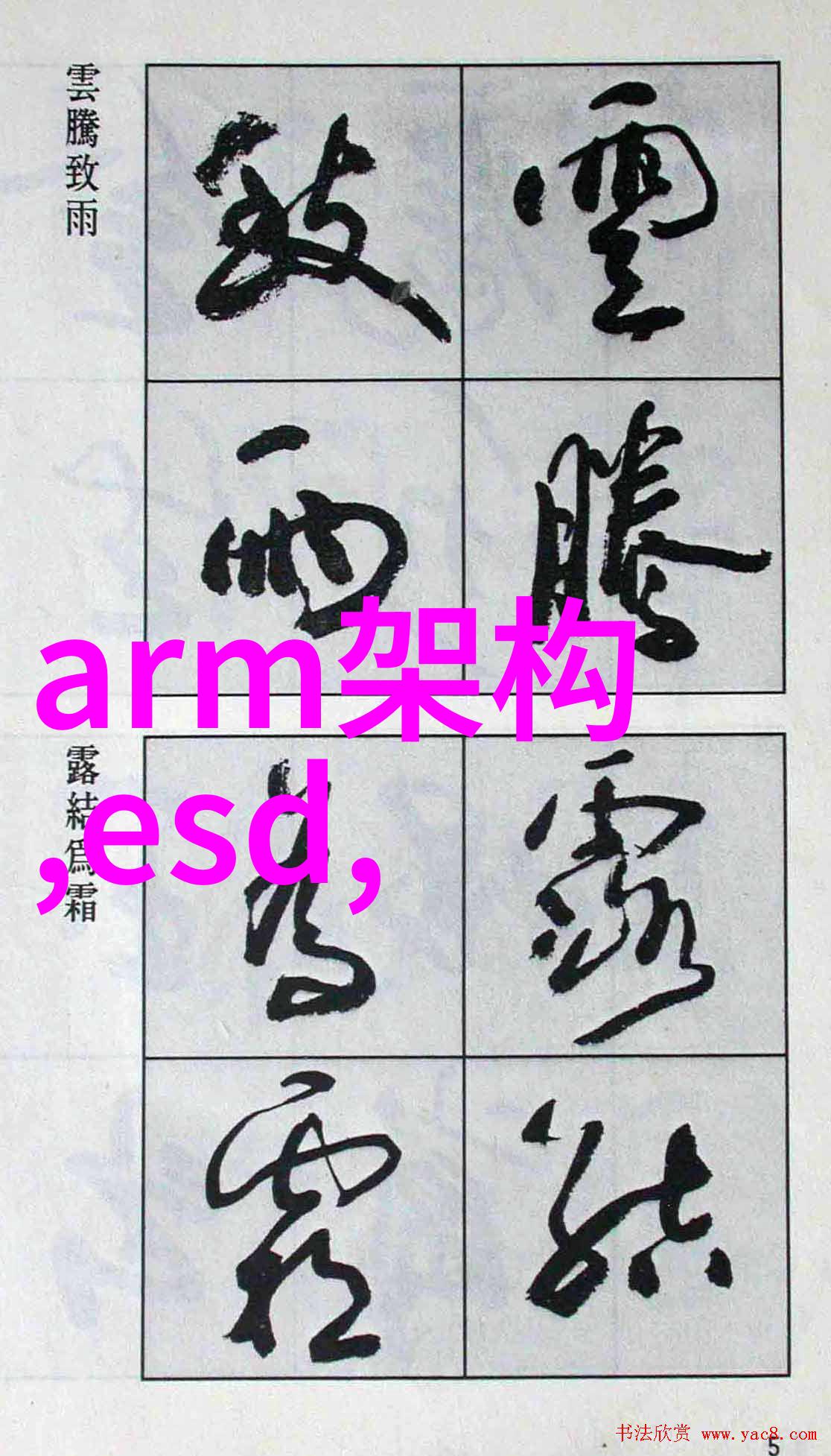 ZLJZLJ日本人水多多我在东京的奇妙日常如何应对一天中总是遇到好朋友和新面孔