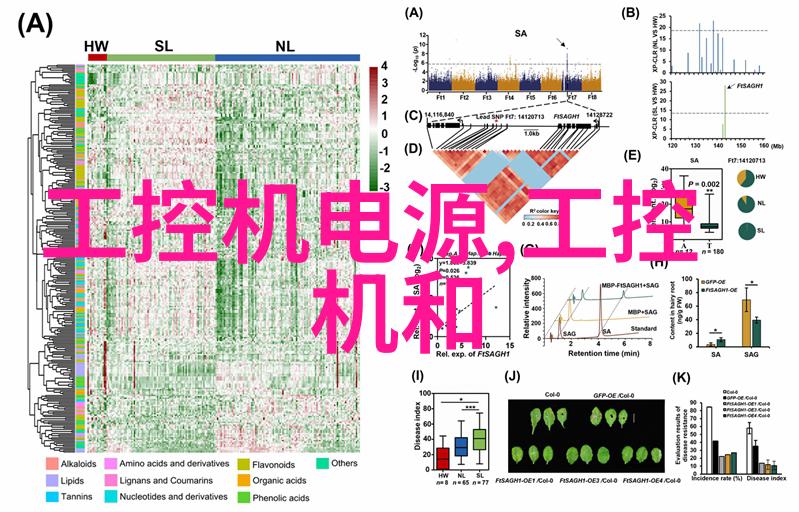 使用滚筒干燥设备可以有效解决什么样的湿物问题