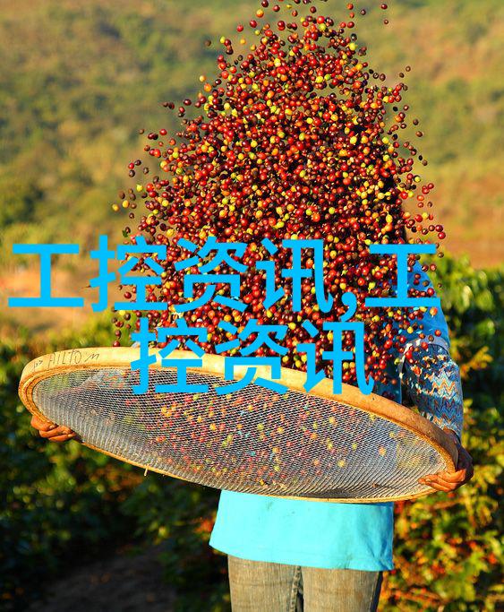 化工药品直接包装机械系统高效自动化成分混合与包装解决方案