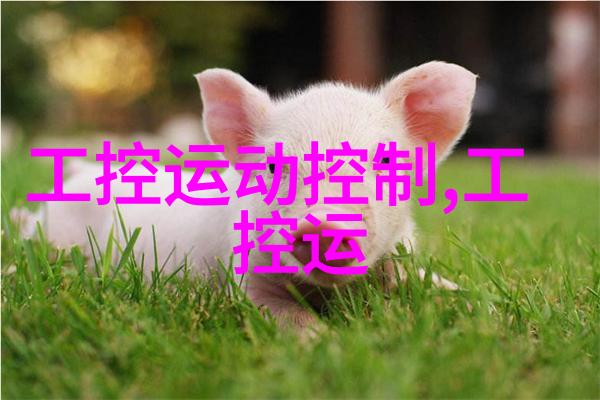 HDPE给水管材厂家高性能材料与卓越制造的完美结合