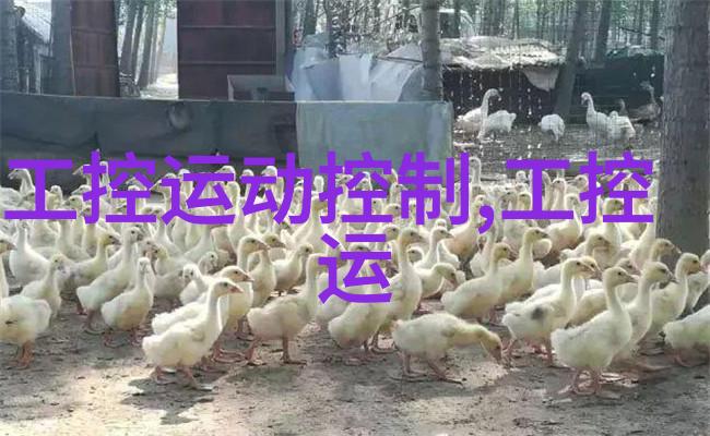 烤包器的魅力如何将家常面点变为美食艺术