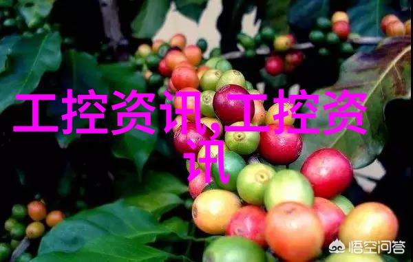 6. 了解各种灭菌方式热水蒸汽紫外线等技术概述