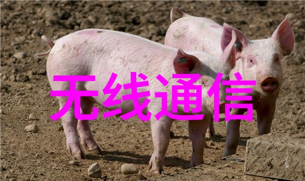 有限责任公司LLC的魅力与实用性解析税收优惠合伙企业结构与法律保护