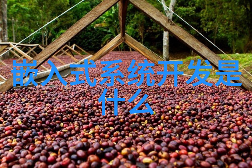 天龙八部全集txt重燃江湖热血追忆金庸经典