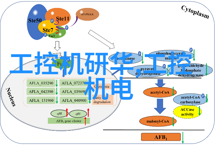 多功能家具解决方案让小房子充满生活的气息