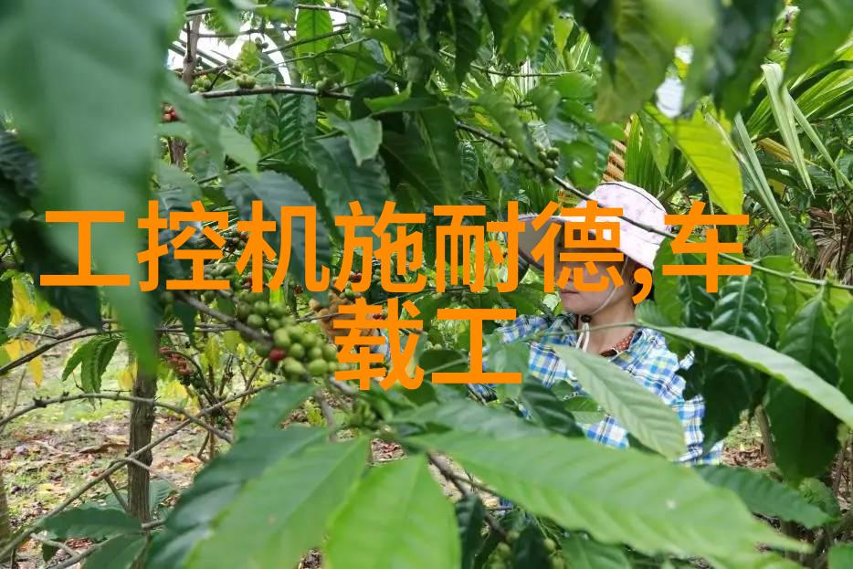 电蒸汽发生器让你的日常变成一场热气腾腾的冒险