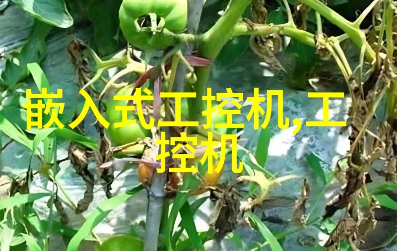 设计房子装修-精致生活从空间布局到风格搭配的全方位设计指南