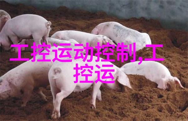 成熟交BGMBGMBGM中国追逐梦想的不懈步伐