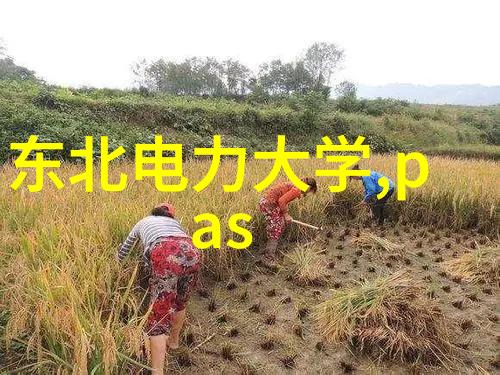 精神病的病理与治疗
