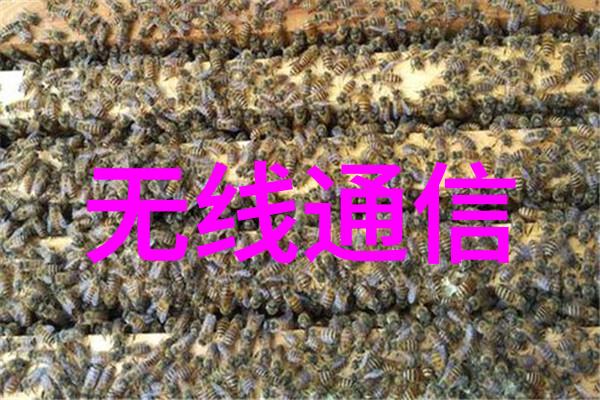 水利水电工程师资格证专业水利建设与管理