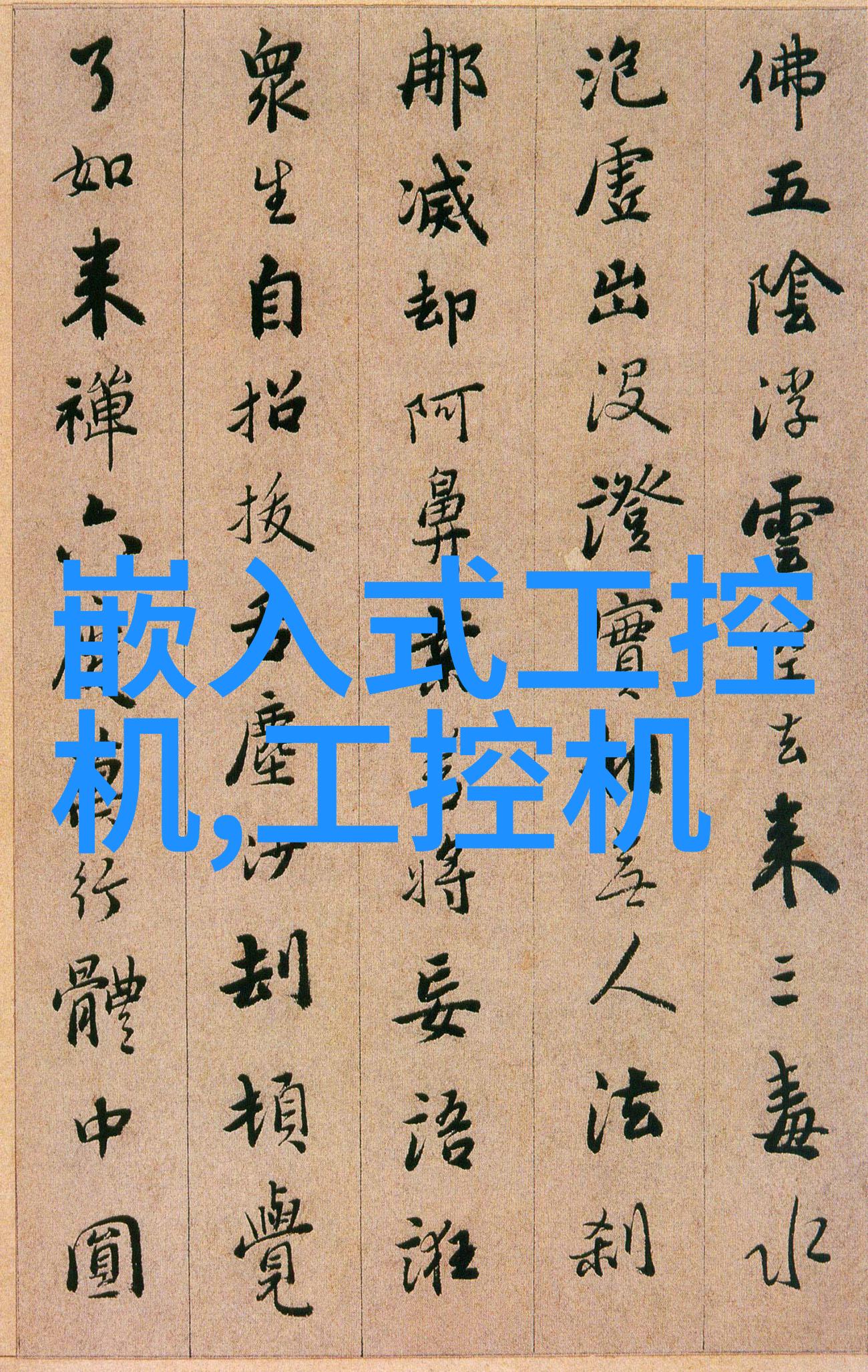 朴妮唛种子开启自然之美的旅程