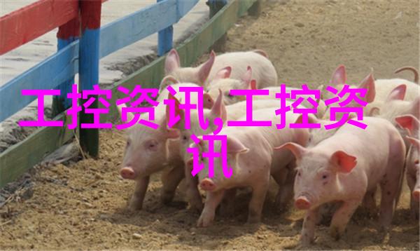 空气压缩与干燥技术的融合高效解决工业用气问题