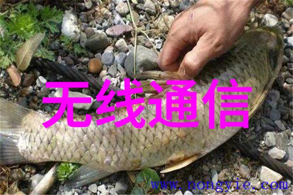 水处理设备行业中哪些是当前最受欢迎的新技术和创新成果